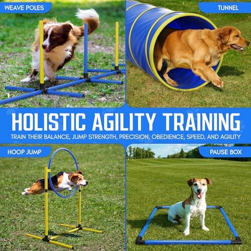 Dogs practicing agility training with weave poles, tunnel, hoop jump, and pause box.