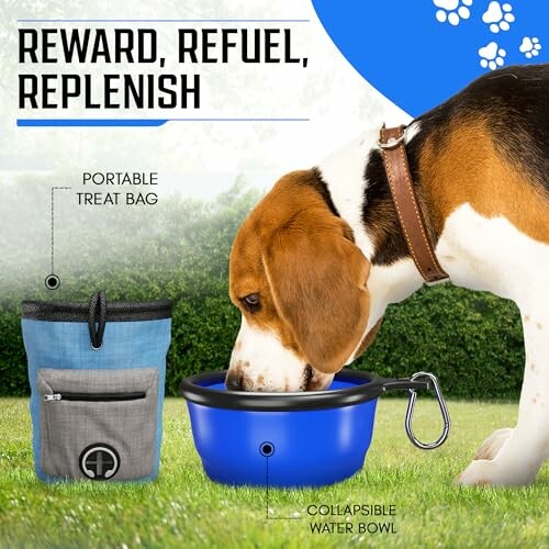 Dog drinking from a collapsible water bowl with portable treat bag nearby.