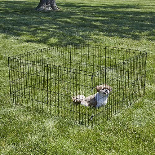 Small dog in a metal playpen on grass