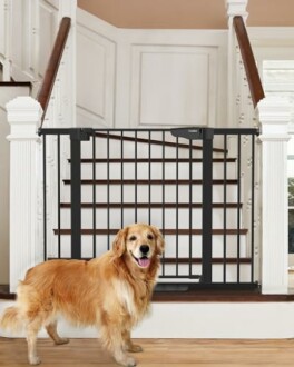 Golden retriever standing in front of a safety gate on stairs