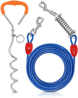 Dog tie-out cable and anchor set with blue cable and metal stake.