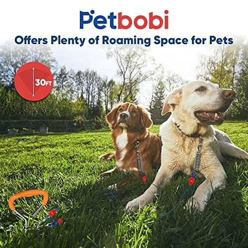 Two dogs on grass with Petbobi 30ft leash